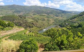 Casa Avos D'Ouro - Barqueiros, Mesao Frio, Douro
